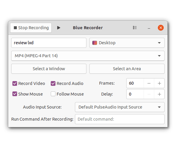 Blue Recorder recording 