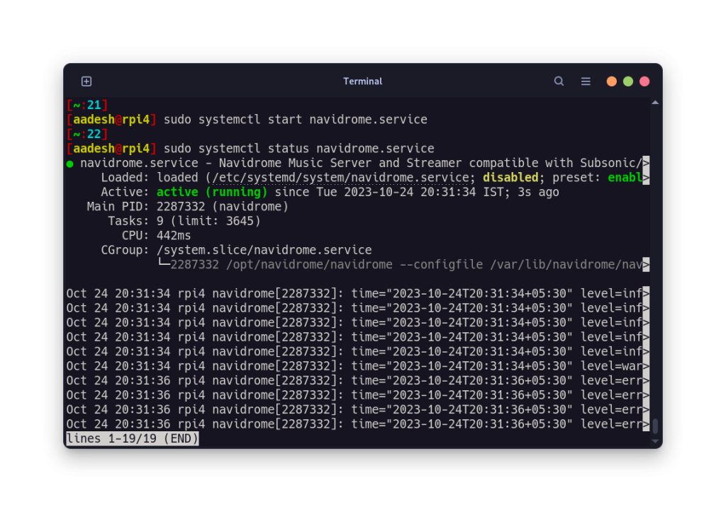 SystemD Service Is Now Started