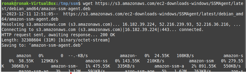 Installing The Aws Ssm Deb Package