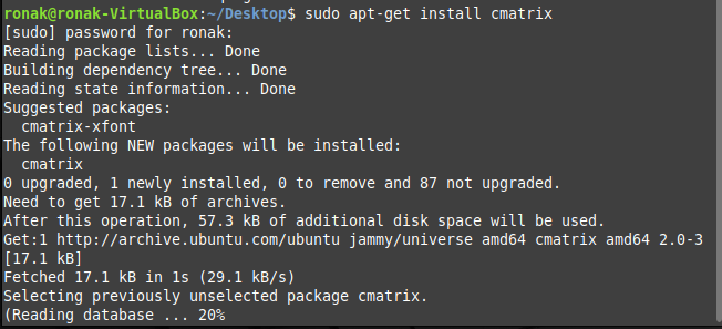 Installing Using Apt