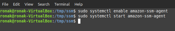 Enabling And Staring The Ssm Service