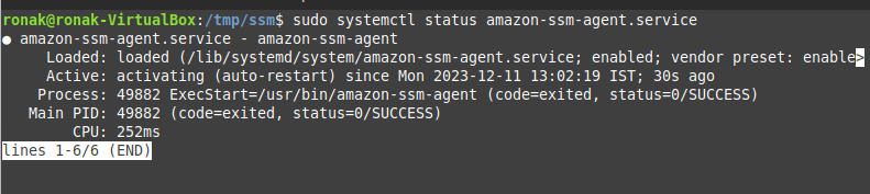 Systemctl For Ssm Agent