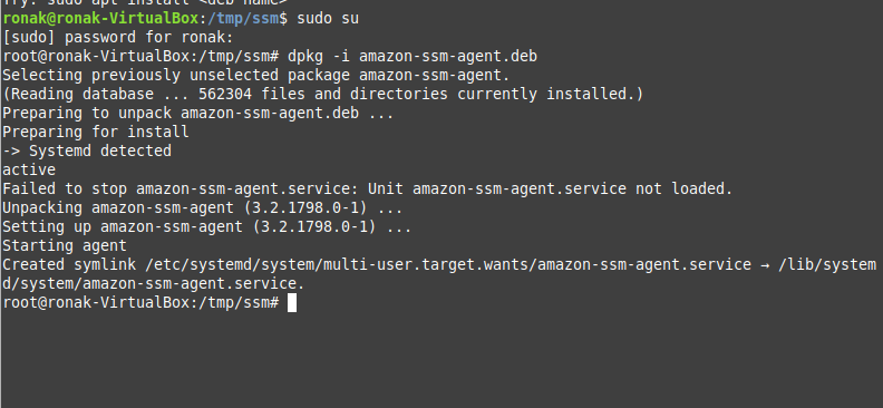 Using Dpkg To Install Aws Ssm Agent