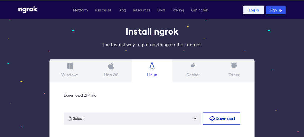 Ngrok Download Page