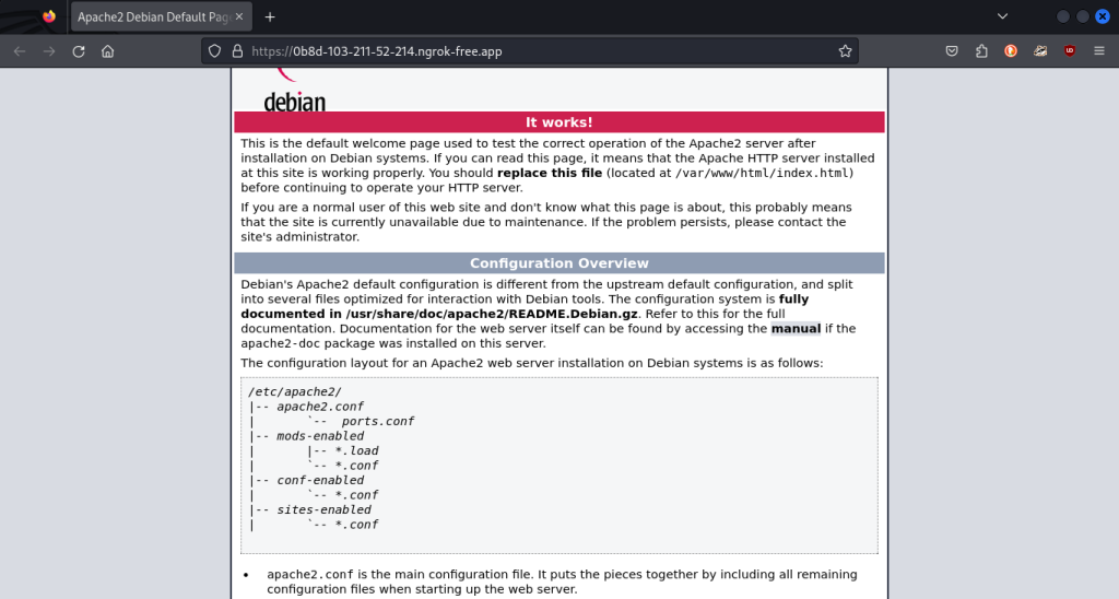 Http Tunneling With Ngrok