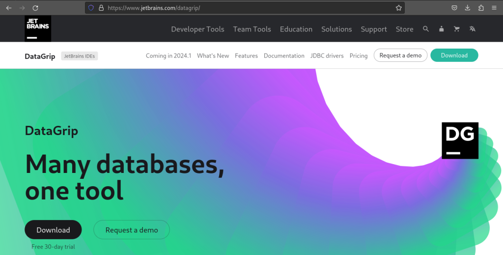 DataGrip Website Homepage