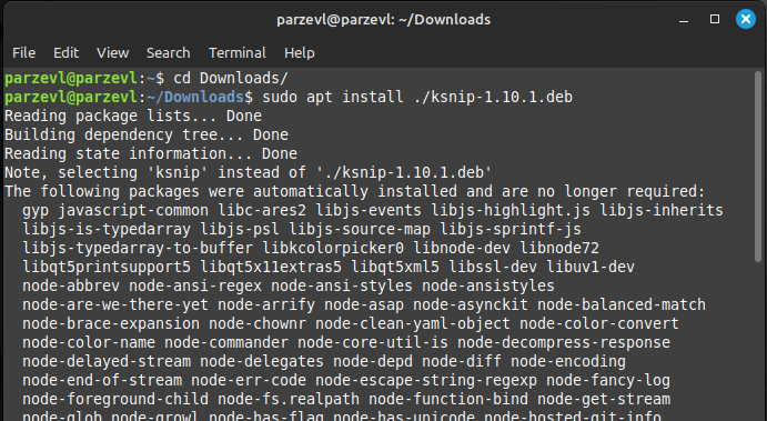 Installing The Ksnip Debian Package