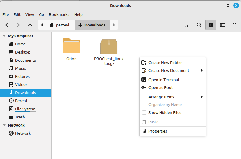 Open Downloads Folder