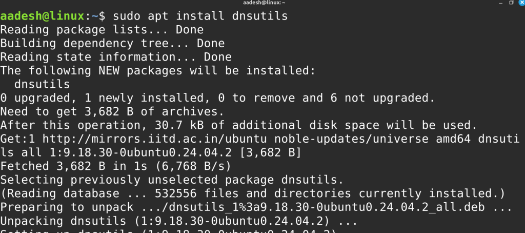 Installing Dnsutils