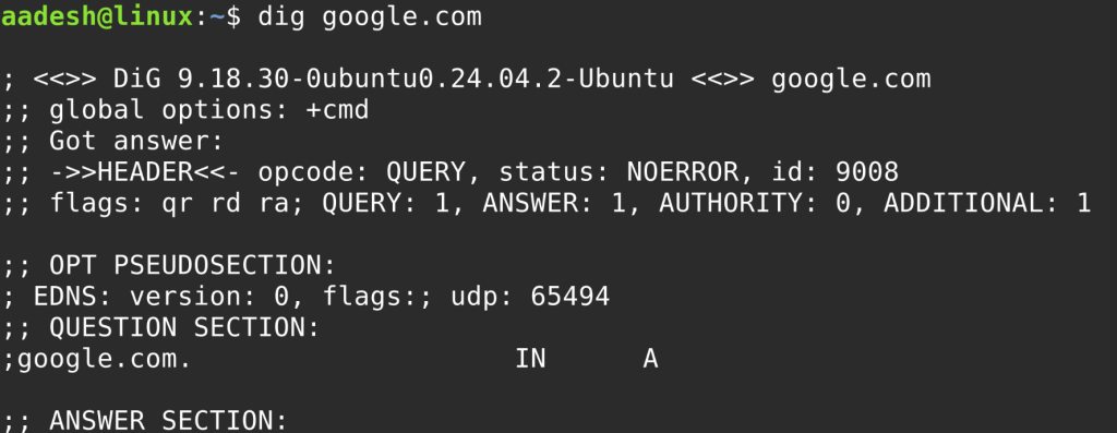 Output Of The Dig Command
