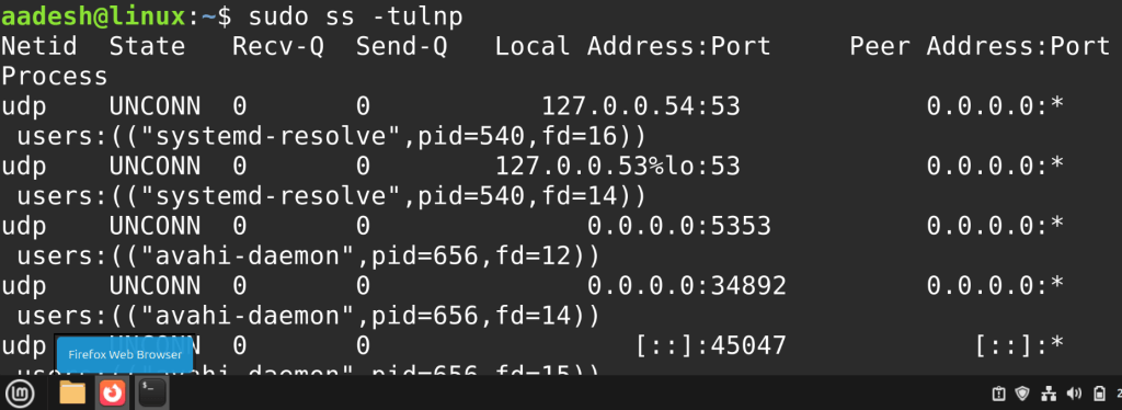 Output Of The Ss Command