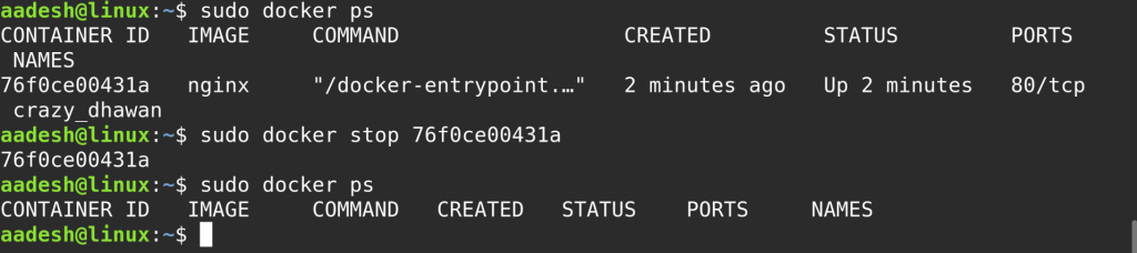 Stopping A Docker Process