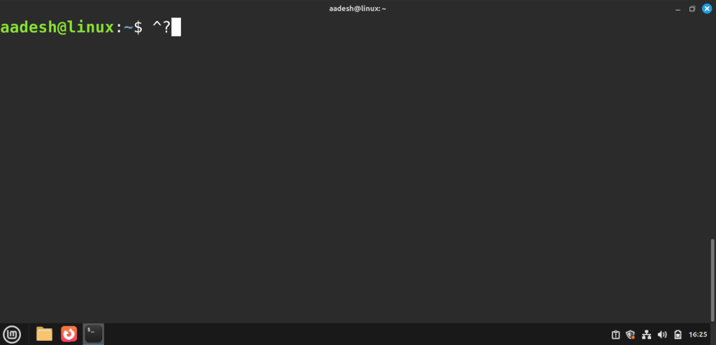 Terminal On Linux Mint