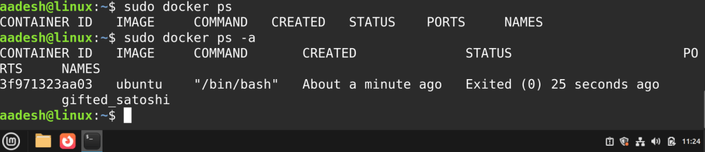 Viewing Active Docker Processes