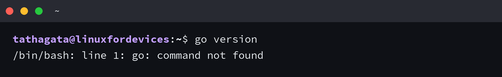 Terminal showing go version and a command not found message