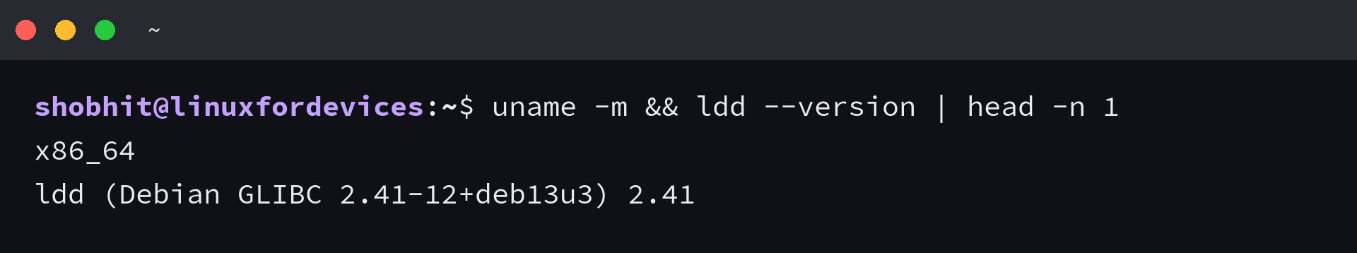 Terminal output confirming x86_64 and glibc 2.41 on Linux
