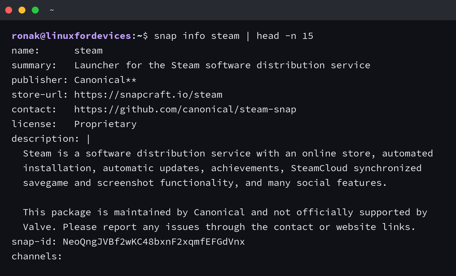 Terminal output showing Steam Snap package metadata on Linux