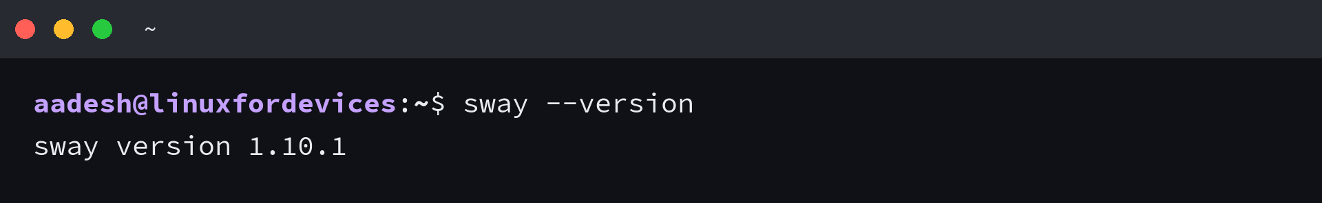 Terminal showing sway --version and Sway version 1.10.1