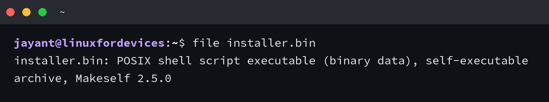 Terminal output of the file command reporting installer.bin as a POSIX shell script and a Makeself 2.5.0 self-executable archive
