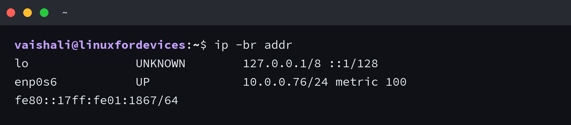 Terminal showing ip -br addr with loopback, the main interface, and private addresses