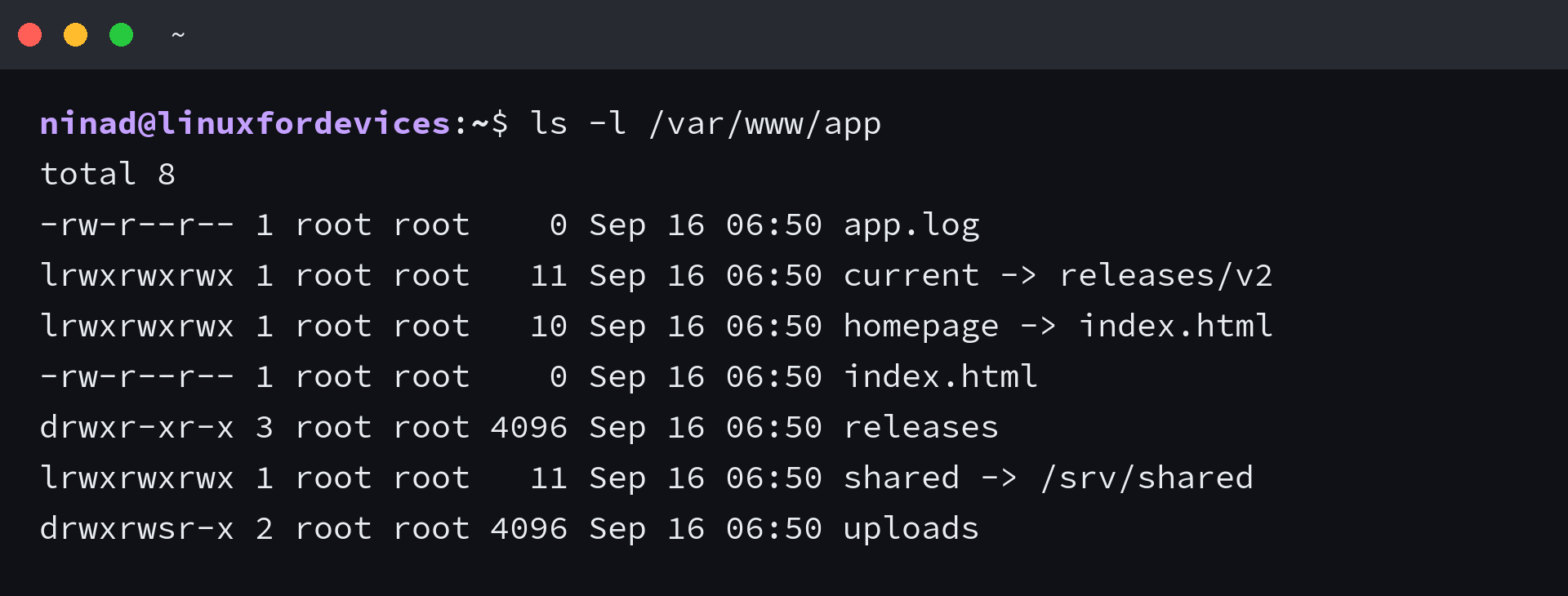 Long listing of /var/www/app with every entry owned by root:root, including a homepage symlink and a current symlink