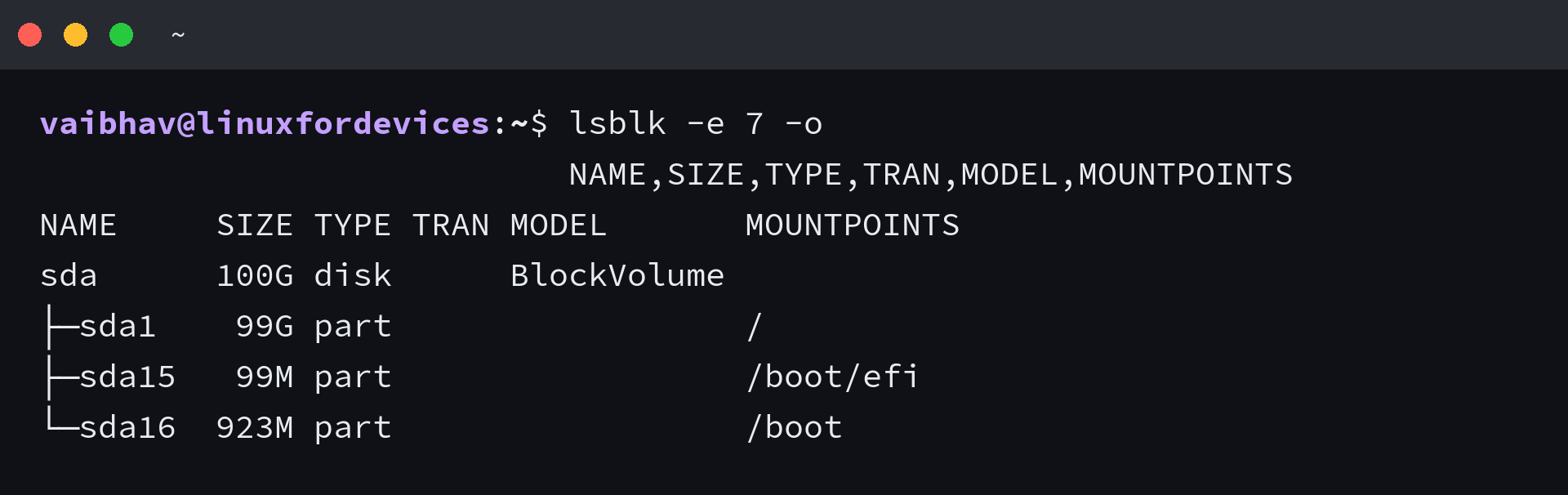 Block device table from lsblk showing one disk and its three partitions