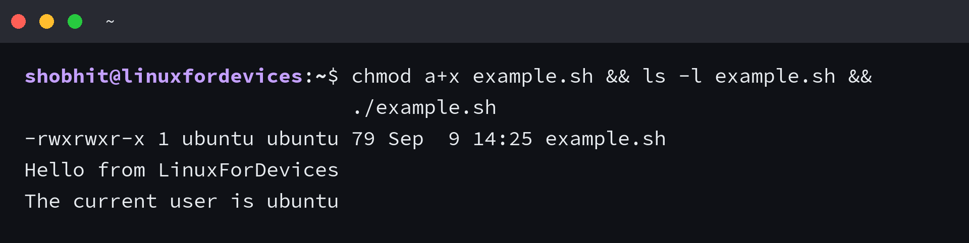 Making a shell script executable with chmod a+x and running it