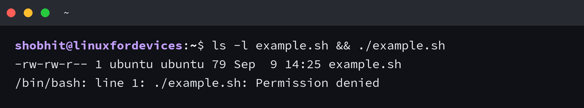 Permission denied when running a shell script without the execute bit