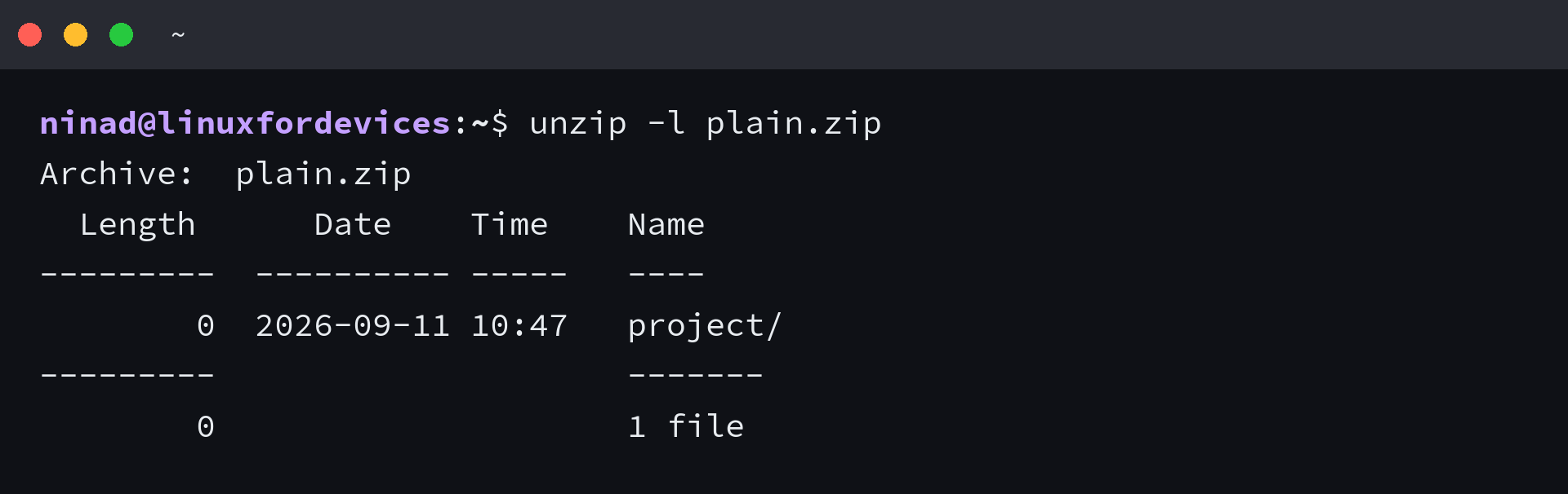 unzip -l plain.zip listing one zero-length directory entry named project/ and a total of one file
