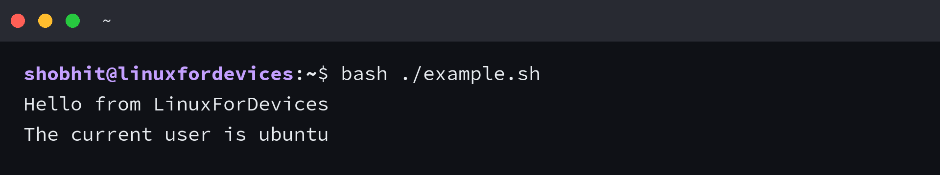 Running a shell script through bash without the execute bit
