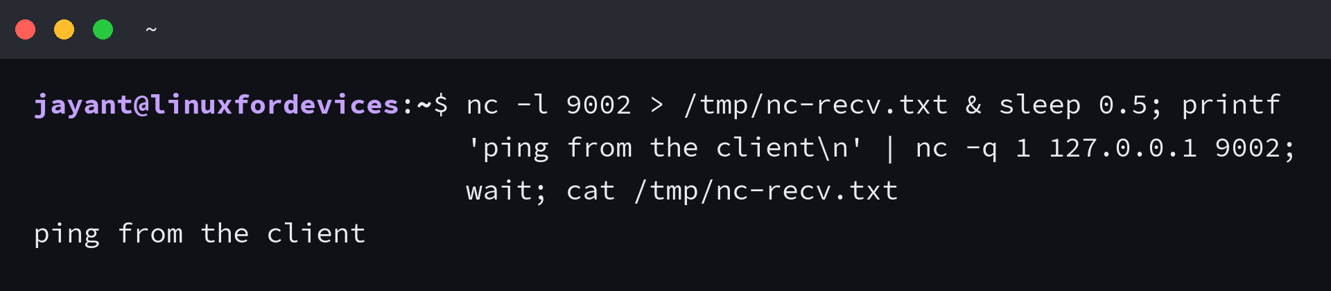 Terminal showing a netcat listener receiving the line ping from the client on port 9002