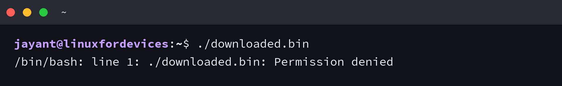 Terminal showing bash returning Permission denied when running a downloaded .bin file without the execute bit