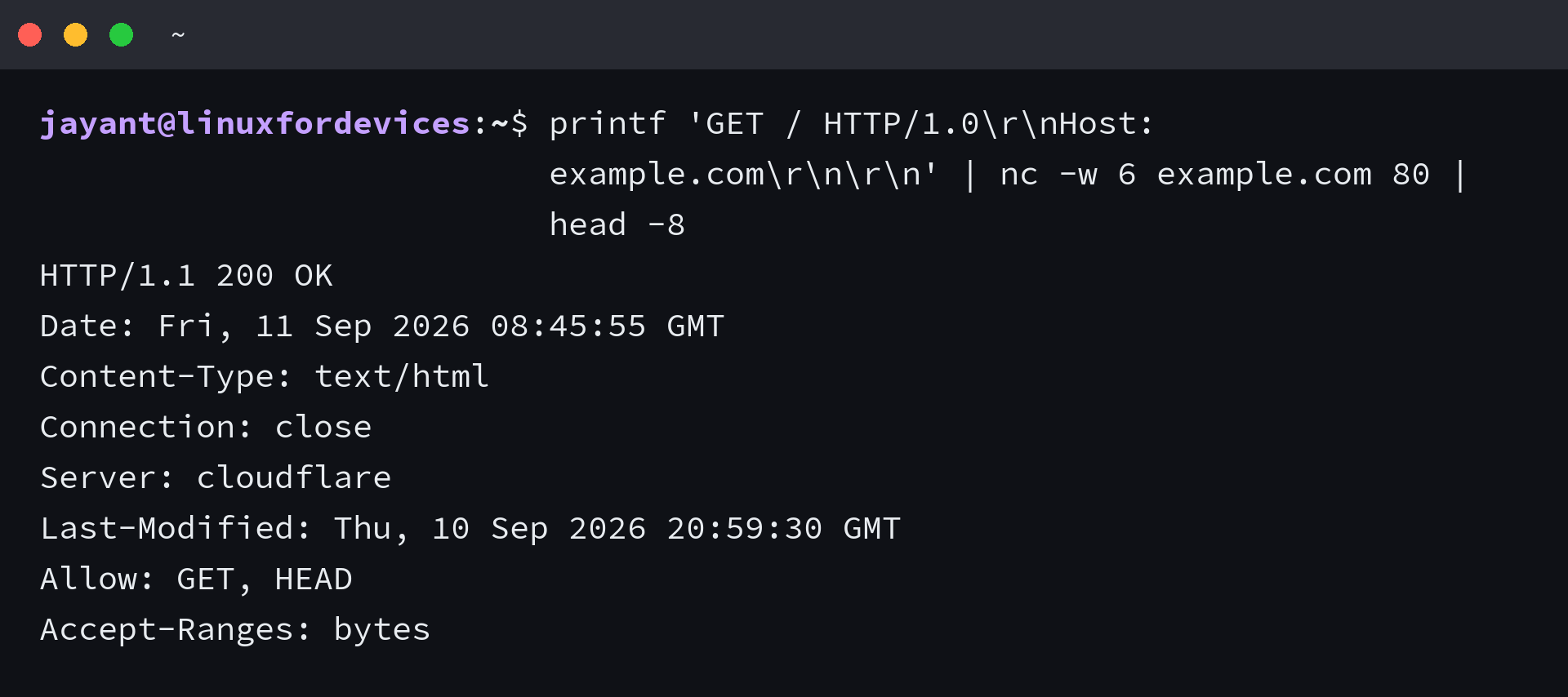 Terminal showing a raw HTTP request sent through netcat returning the 200 OK status line and server headers