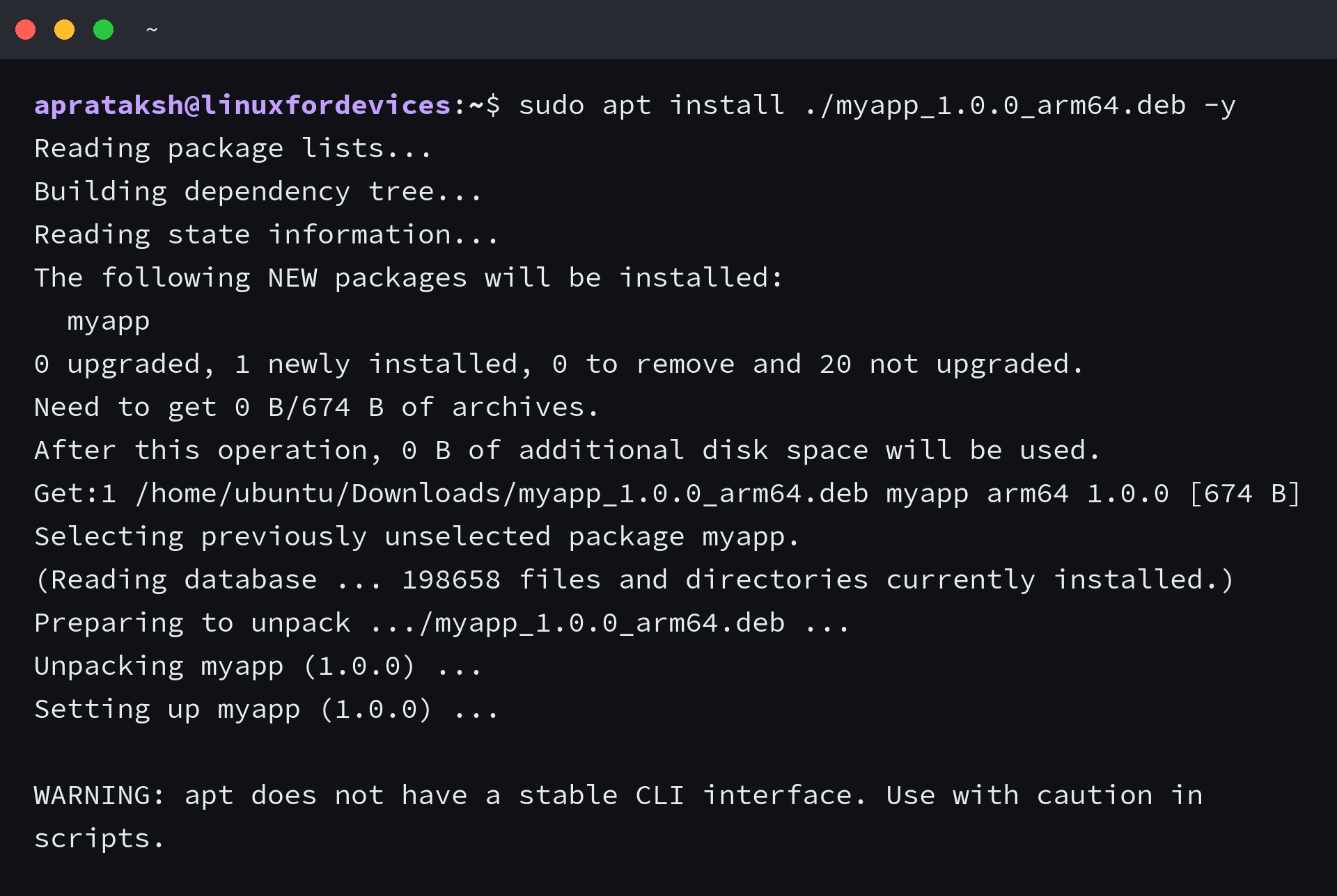 APT installing a local DEB file and setting up the package