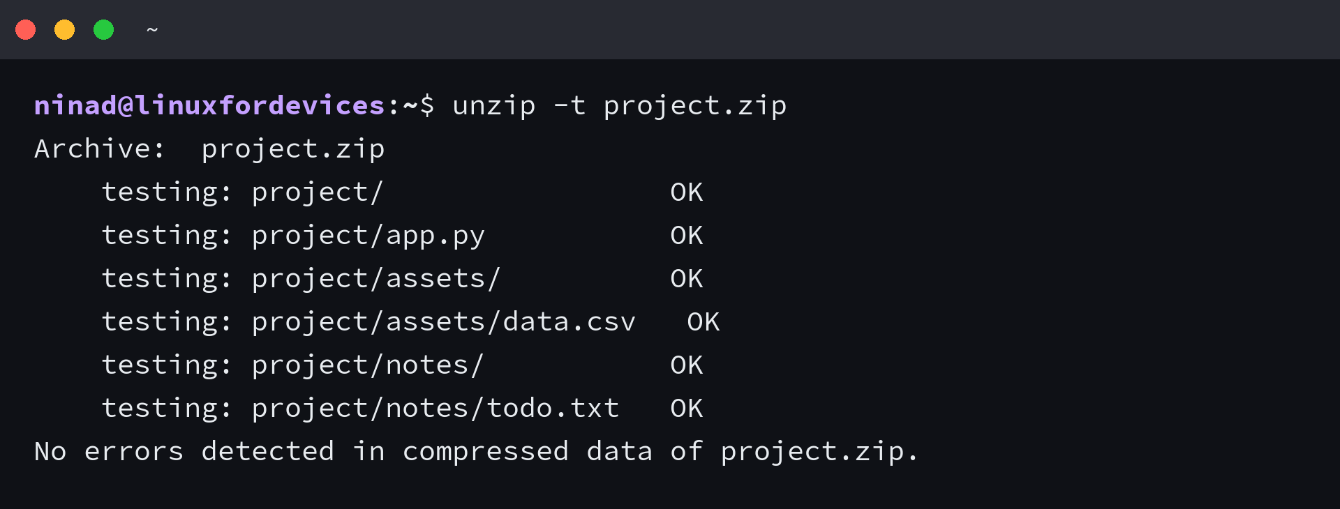 unzip -t project.zip reporting OK for every entry and no errors detected in compressed data