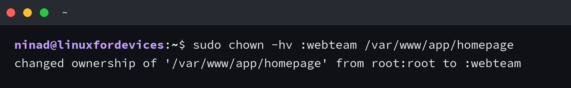 Terminal showing chown -hv :webteam /var/www/app/homepage changing the group of the symlink itself