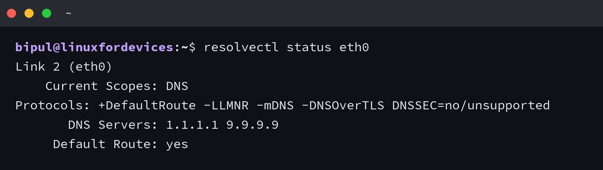 resolvectl status eth0 listing the DNS servers configured on the interface