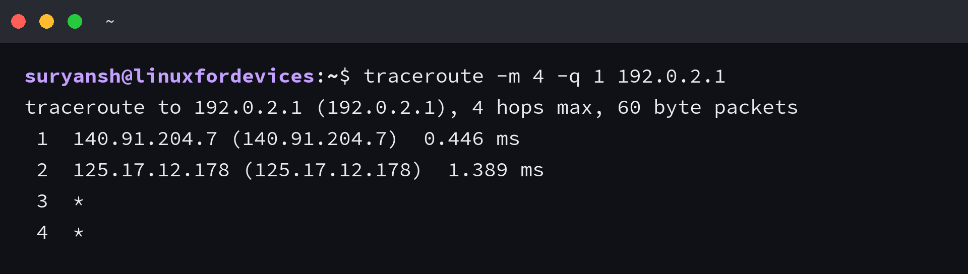traceroute to 192.0.2.1 showing two answering hops then asterisks for the rest