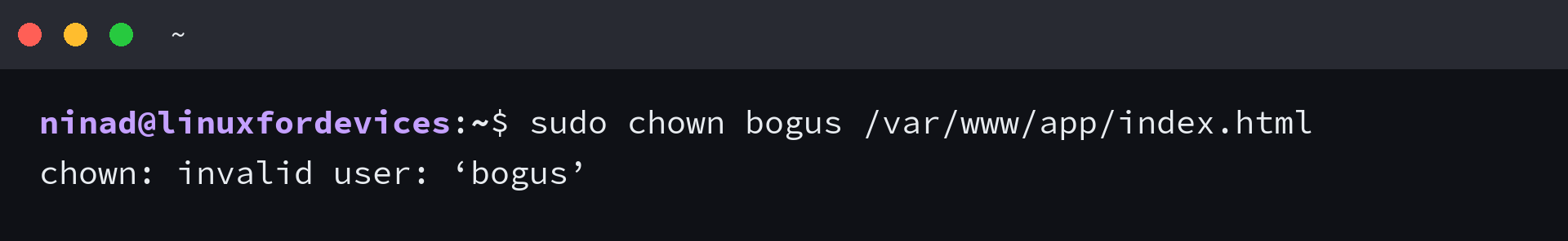 Terminal showing chown with an unknown account returning chown: invalid user: bogus