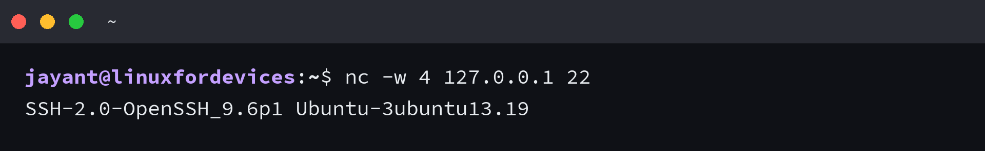 Terminal showing netcat reading the OpenSSH version banner from port 22