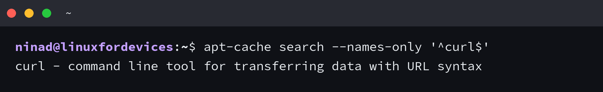 apt-cache search --names-only exact curl package query returning one result on Ubuntu 24.04