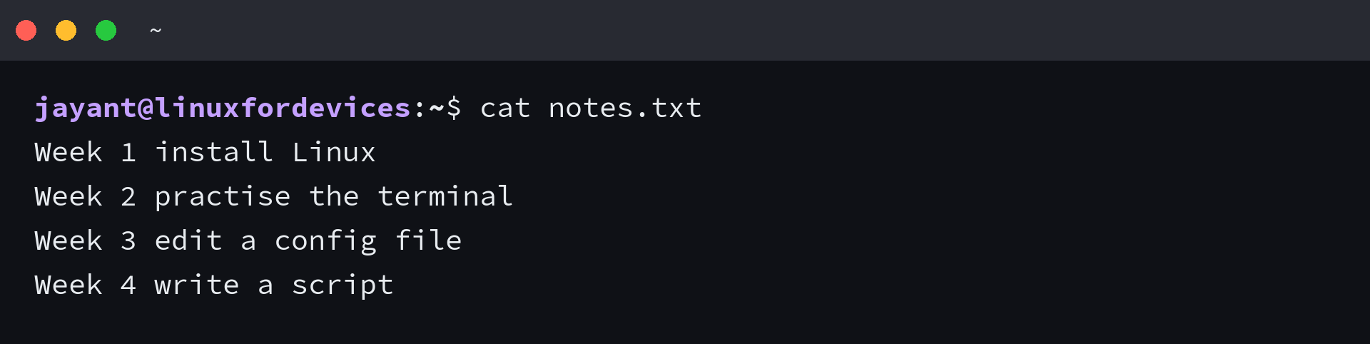 cat printing the saved notes.txt file back in the terminal