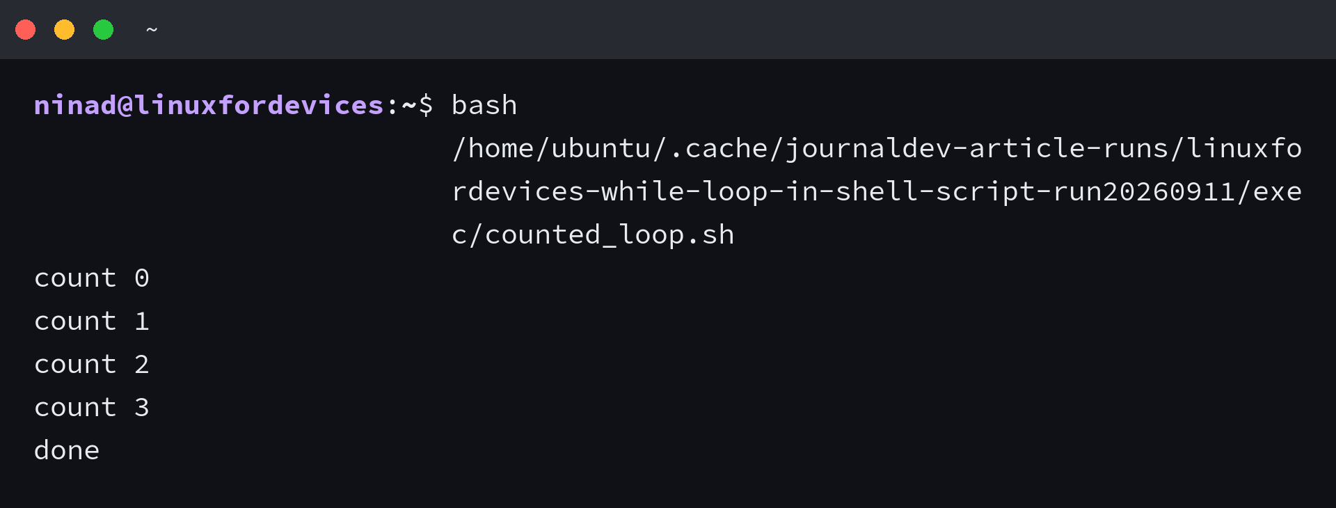Counted while loop output showing count 0 through 3