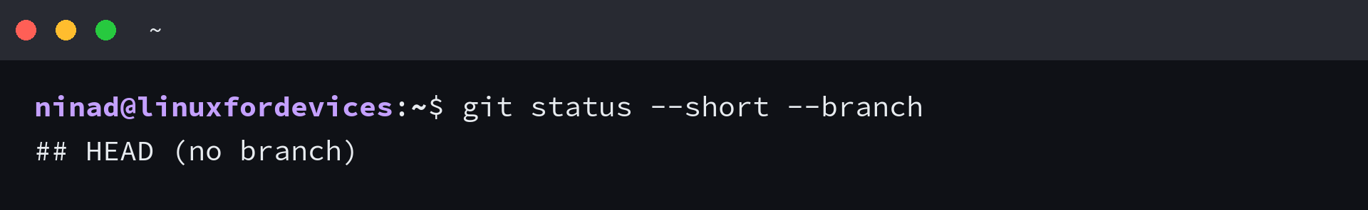 Git status reports HEAD (no branch) in a detached checkout