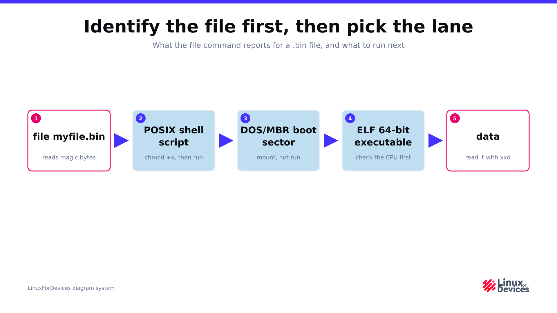 Diagram mapping the four shapes the file command reports for a .bin file and the command that follows each