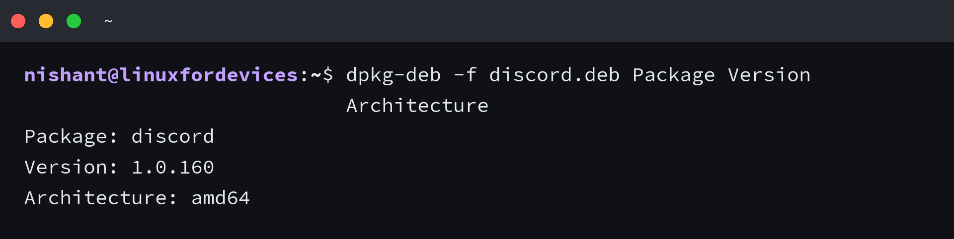 Terminal output shows Discord DEB metadata: package discord, version 1.0.160, architecture amd64.