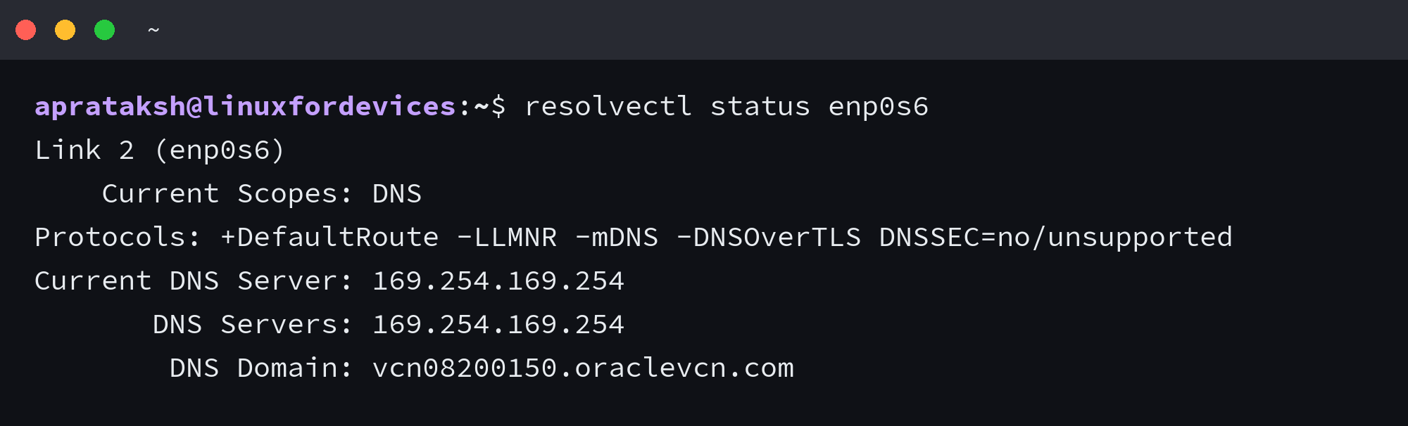 Terminal showing resolver status for the enp0s6 network link
