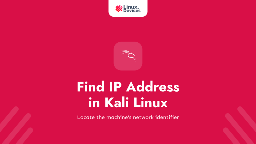 How to find IP address in Kali Linux?