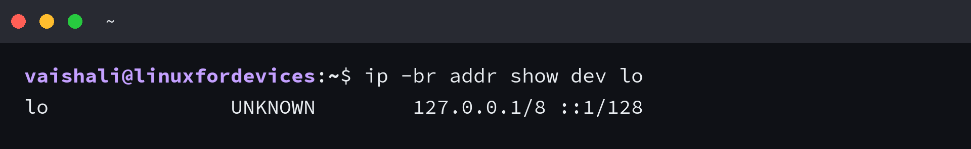 Terminal output listing the loopback IPv4 and IPv6 addresses