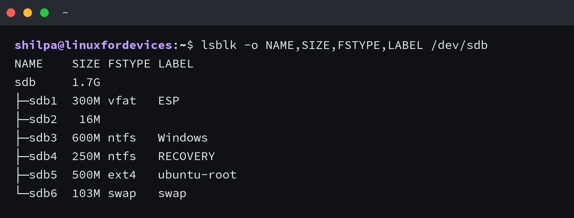 lsblk output listing the EFI system partition, the Microsoft reserved partition, the Windows partition, the recovery partition and two Linux partitions on one disk